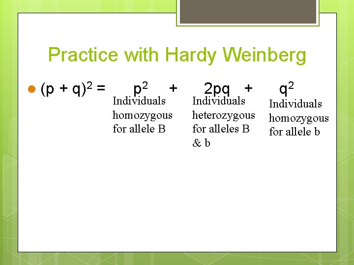 Practice with Hardy Weinberg l (p + q)2 = p 2 + Individuals homozygous