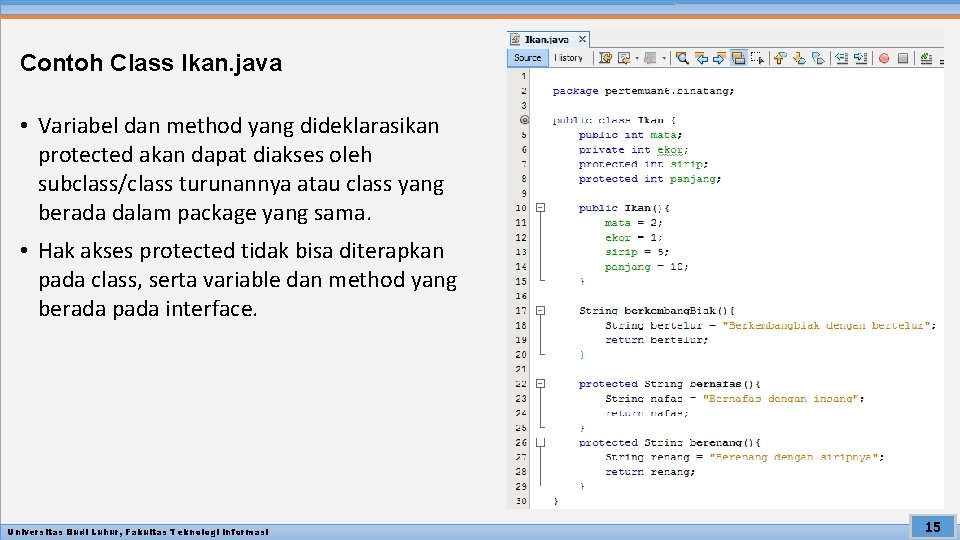 Contoh Class Ikan. java • Variabel dan method yang dideklarasikan protected akan dapat diakses