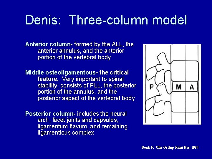 Denis: Three-column model Anterior column- formed by the ALL, the anterior annulus, and the