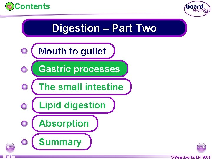 Contents Digestion – Part Two Mouth to gullet Gastric processes The small intestine Lipid