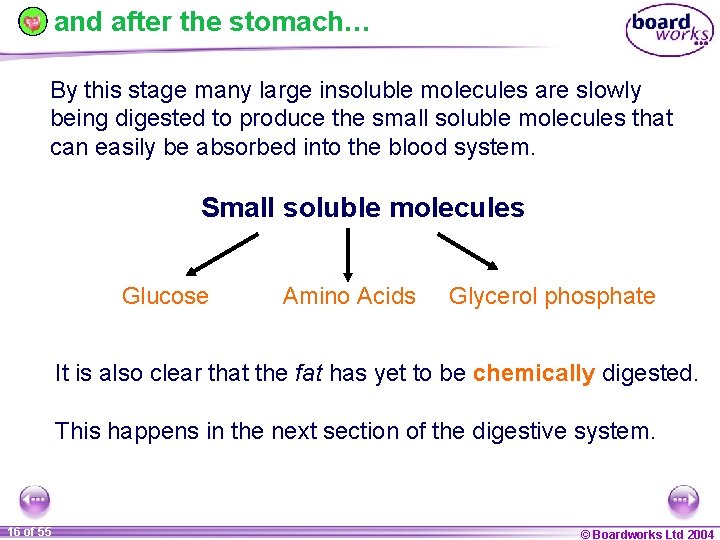 and after the stomach… By this stage many large insoluble molecules are slowly being