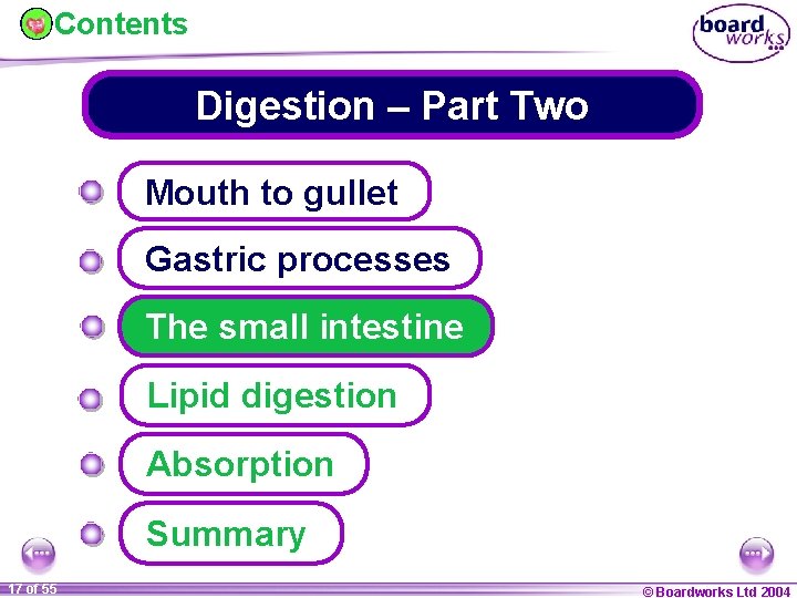 Contents Digestion – Part Two Mouth to gullet Gastric processes The small intestine Lipid
