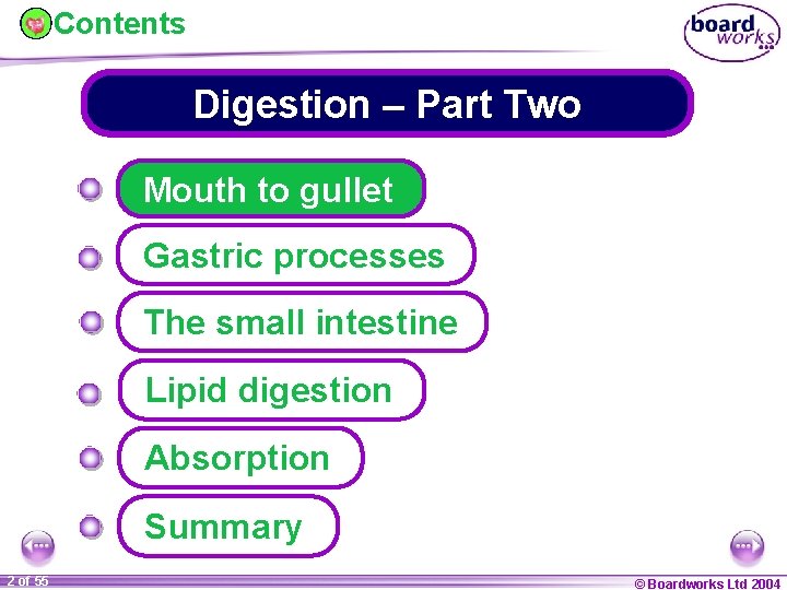 Contents Digestion – Part Two Mouth to gullet Gastric processes The small intestine Lipid