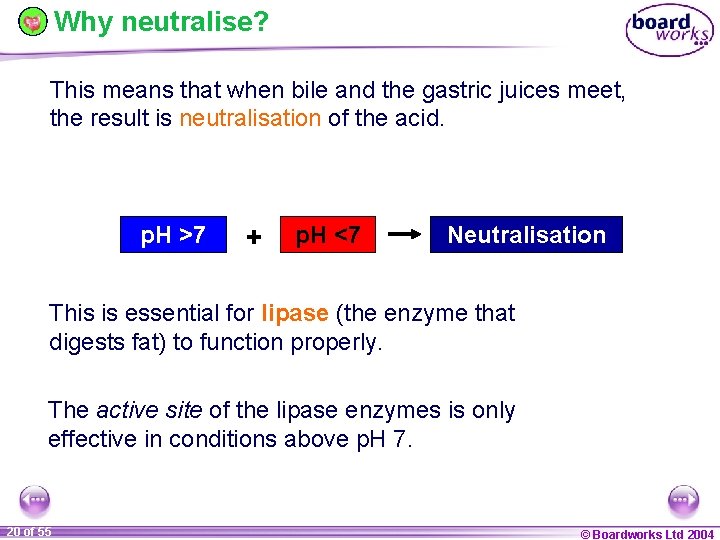 Why neutralise? This means that when bile and the gastric juices meet, the result