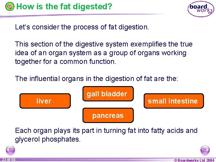 How is the fat digested? Let’s consider the process of fat digestion. This section