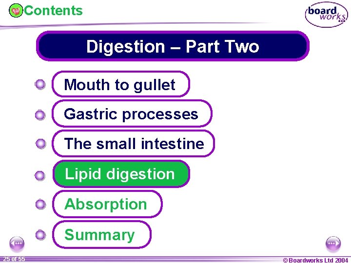 Contents Digestion – Part Two Mouth to gullet Gastric processes The small intestine Lipid