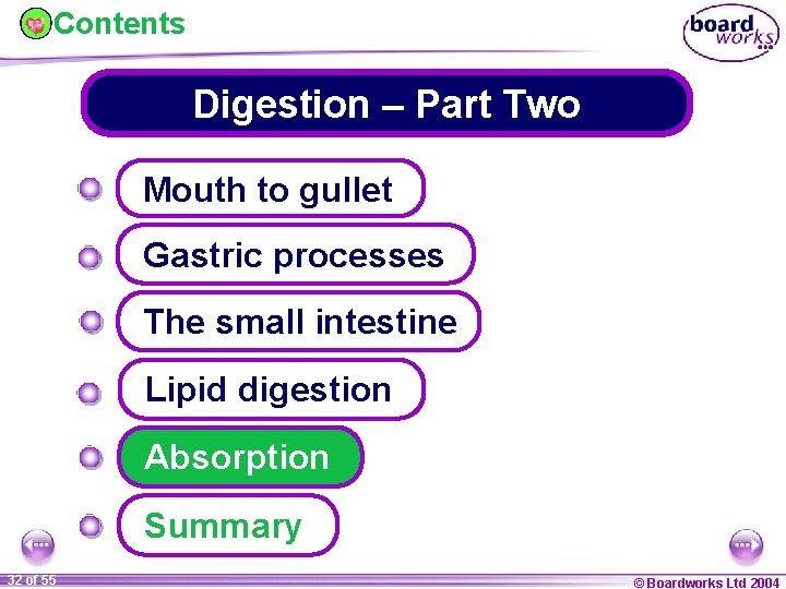 Contents Digestion – Part Two Mouth to gullet Gastric processes The small intestine Lipid
