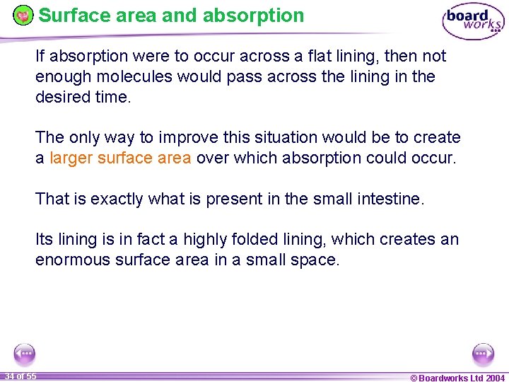 Surface area and absorption If absorption were to occur across a flat lining, then