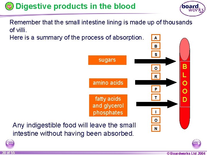 Digestive products in the blood Remember that the small intestine lining is made up
