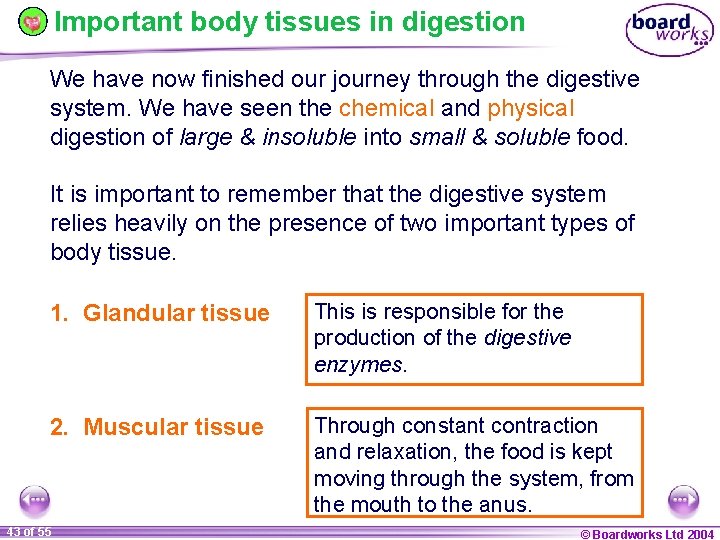 Important body tissues in digestion We have now finished our journey through the digestive