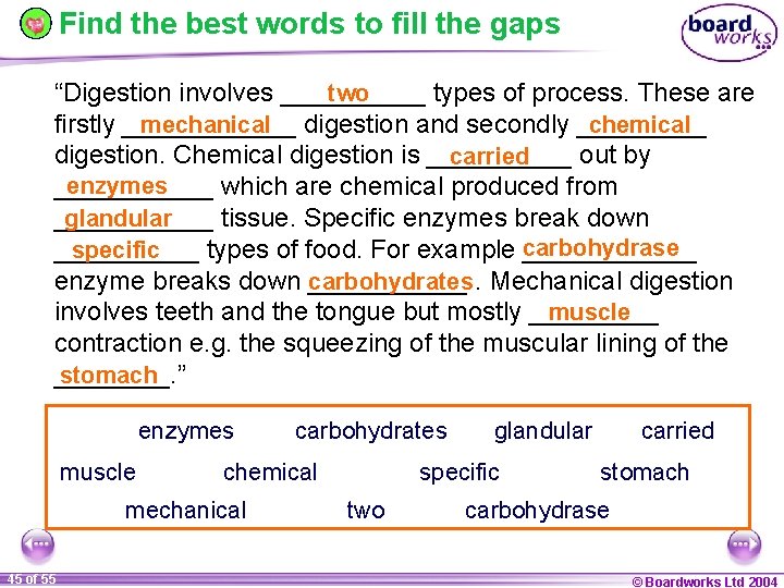 Find the best words to fill the gaps “Digestion involves _____ types of process.