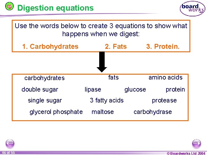 Digestion equations Use the words below to create 3 equations to show what happens