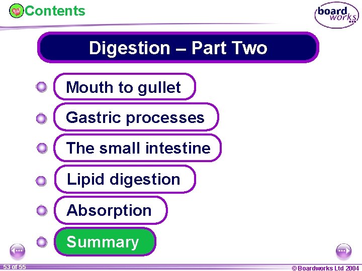 Contents Digestion – Part Two Mouth to gullet Gastric processes The small intestine Lipid
