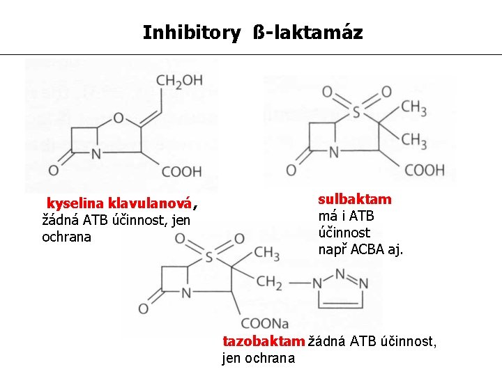 Inhibitory ß-laktamáz kyselina klavulanová, žádná ATB účinnost, jen ochrana sulbaktam má i ATB účinnost