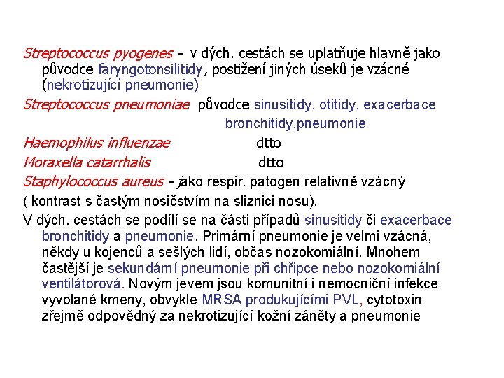 Streptococcus pyogenes - v dých. cestách se uplatňuje hlavně jako původce faryngotonsilitidy, postižení jiných