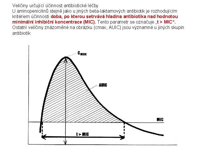 Veličiny určující účinnost antibiotické léčby U aminopenicilinů stejně jako u jiných beta-laktamových antibiotik je