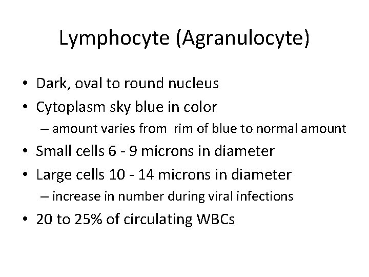 Lymphocyte (Agranulocyte) • Dark, oval to round nucleus • Cytoplasm sky blue in color