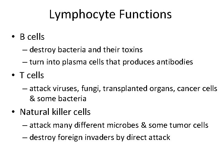 Lymphocyte Functions • B cells – destroy bacteria and their toxins – turn into