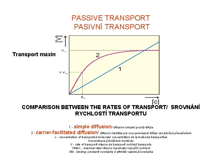 PASSIVE TRANSPORT PASIVNÍ TRANSPORT Transport maximum COMPARISON BETWEEN THE RATES OF TRANSPORT/ SROVNÁNÍ RYCHLOSTÍ