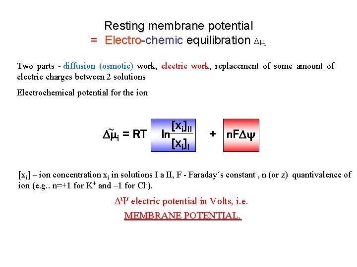 Resting membrane potential = Electro-chemic equilibration mi Two parts - diffusion (osmotic) work, electric