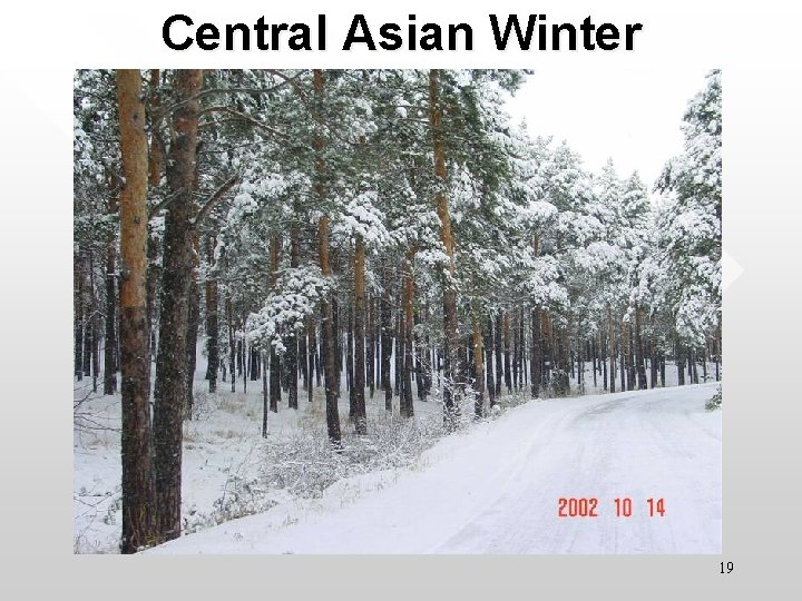 Central Asian Winter 19 