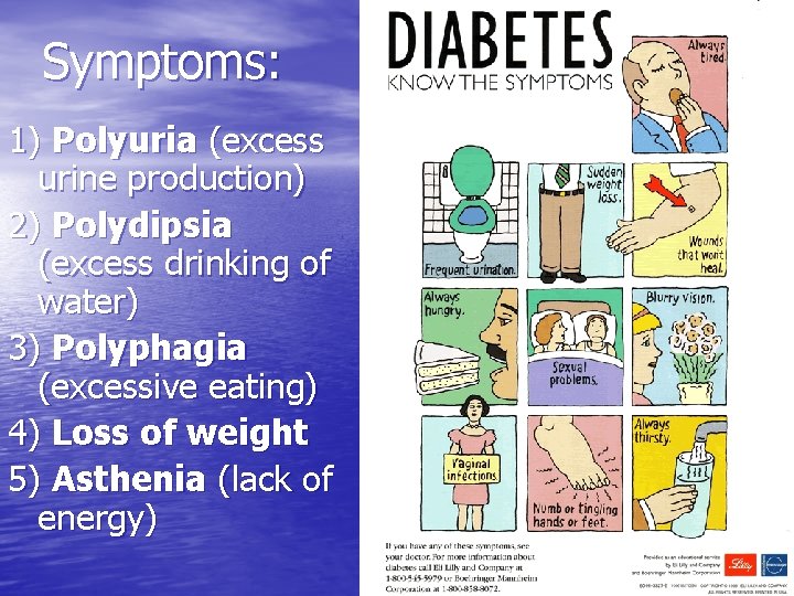 Symptoms: 1) Polyuria (excess urine production) 2) Polydipsia (excess drinking of water) 3) Polyphagia