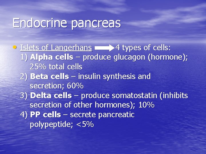 Endocrine pancreas • Islets of Langerhans 4 types of cells: 1) Alpha cells –