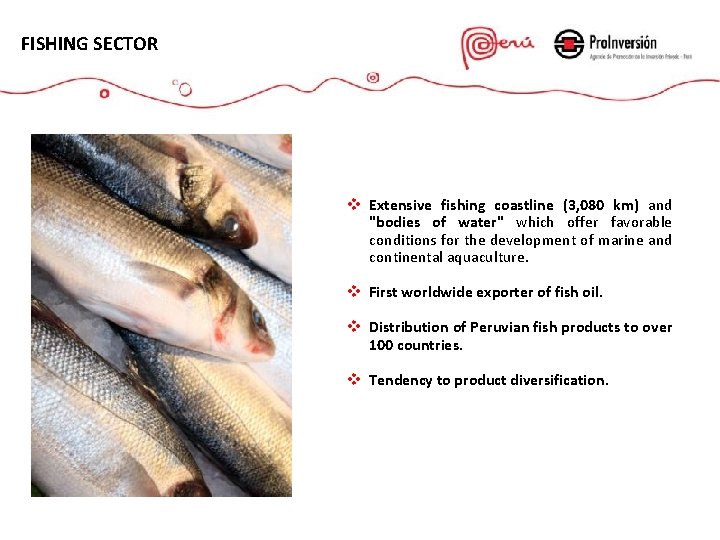 FISHING SECTOR v Extensive fishing coastline (3, 080 km) and "bodies of water" which