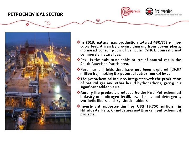 PETROCHEMICAL SECTOR v. In 2013, natural gas production totaled 430, 559 million cubic feet,