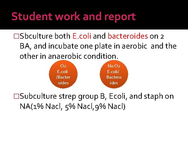 Student work and report �Sbculture both E. coli and bacteroides on 2 BA, and