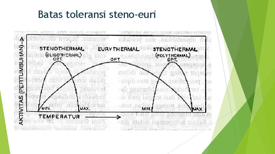 Batas toleransi steno-euri 