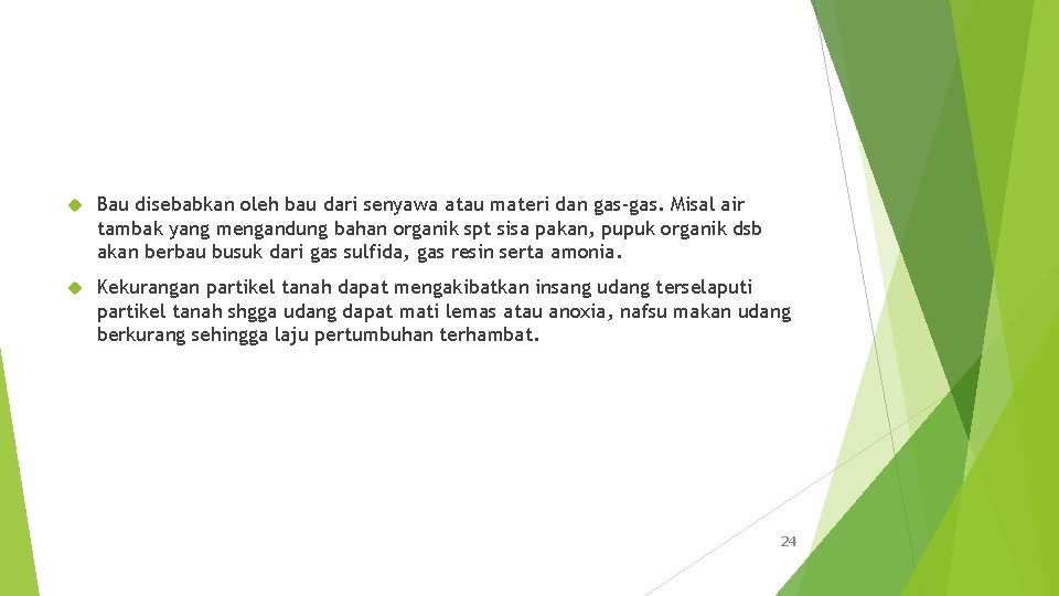  Bau disebabkan oleh bau dari senyawa atau materi dan gas-gas. Misal air tambak