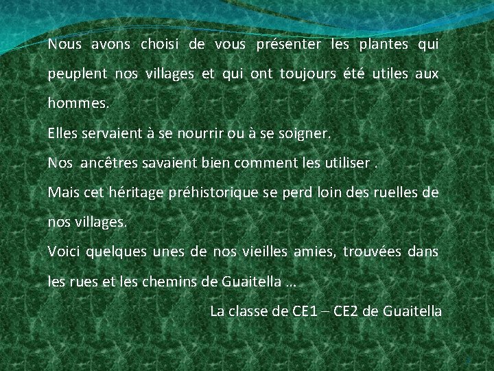 Nous avons choisi de vous présenter les plantes qui peuplent nos villages et qui