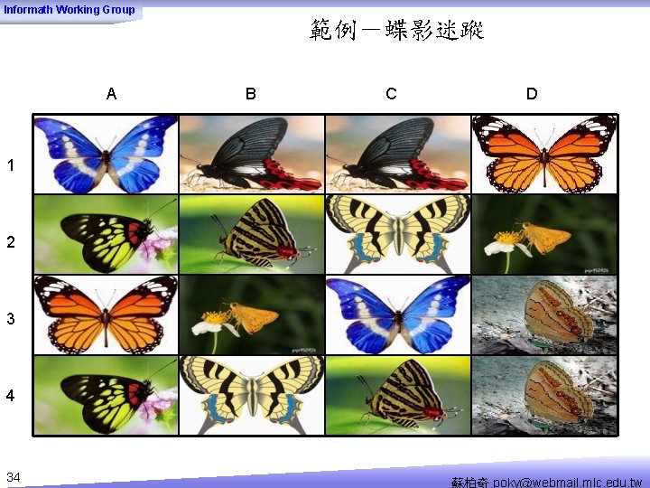 Informath Working Group 範例－蝶影迷蹤 A B C D 1 2 3 4 34 蘇柏奇