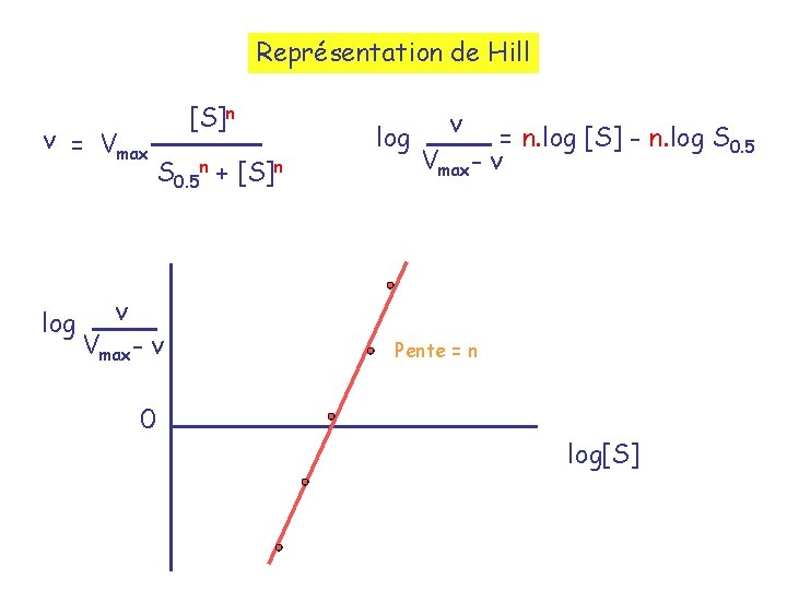 Représentation de Hill v = Vmax log [S]n S 0. 5 n + [S]n