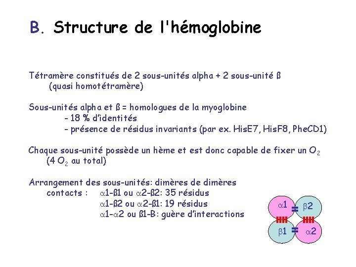 B. Structure de l'hémoglobine Tétramère constitués de 2 sous-unités alpha + 2 sous-unité ß