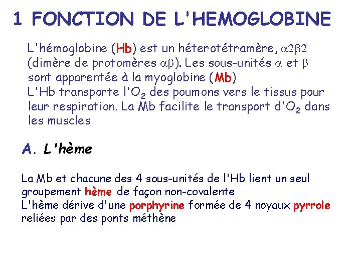 1 FONCTION DE L'HEMOGLOBINE L'hémoglobine (Hb) est un héterotétramère, (dimère de protomères ). Les
