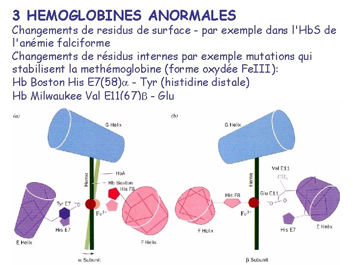 3 HEMOGLOBINES ANORMALES Changements de residus de surface - par exemple dans l'Hb. S