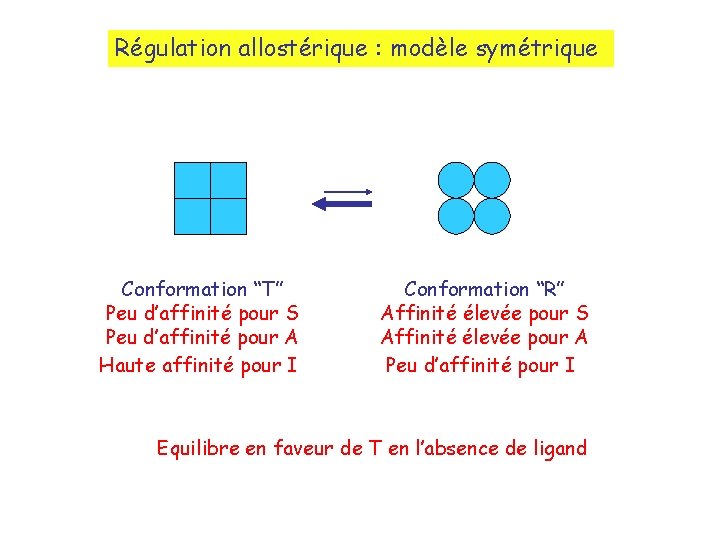Régulation allostérique : modèle symétrique Conformation “T” Peu d’affinité pour S Peu d’affinité pour