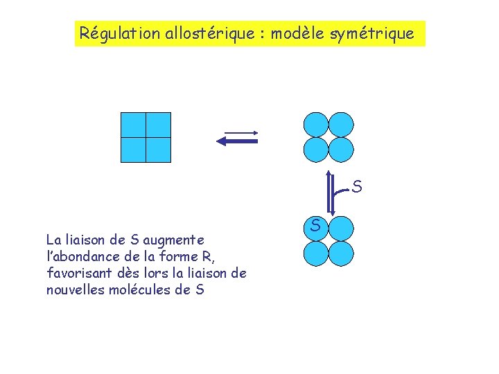 Régulation allostérique : modèle symétrique S La liaison de S augmente l’abondance de la