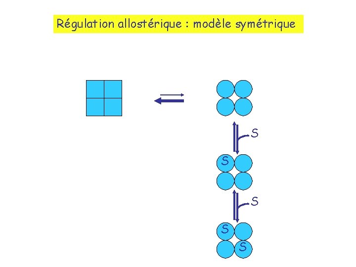 Régulation allostérique : modèle symétrique S S S 