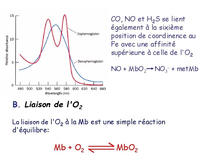 CO, NO et H 2 S se lient également à la sixième position de