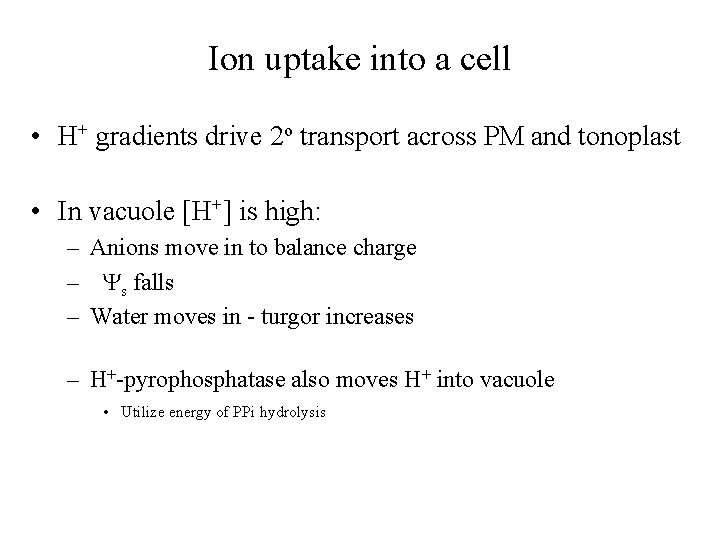 Ion uptake into a cell • H+ gradients drive 2 o transport across PM