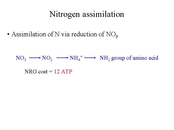 Nitrogen assimilation • Assimilation of N via reduction of NO 3 NO 2 NH