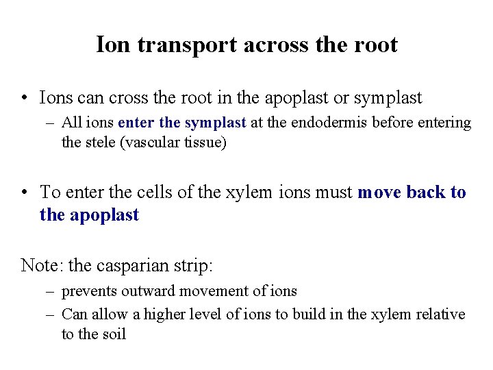Ion transport across the root • Ions can cross the root in the apoplast
