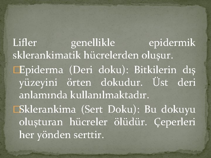 Lifler genellikle epidermik sklerankimatik hücrelerden oluşur. �Epiderma (Deri doku): Bitkilerin dış yüzeyini örten dokudur.