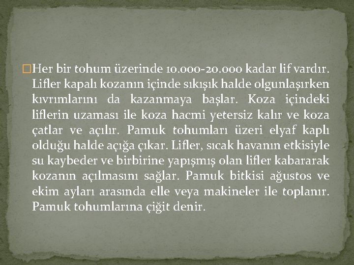 �Her bir tohum üzerinde 10. 000 -20. 000 kadar lif vardır. Lifler kapalı kozanın