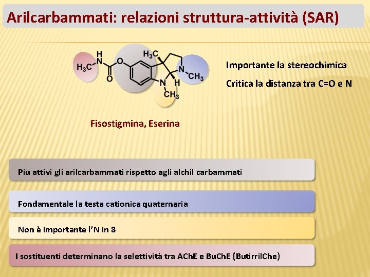 Arilcarbammati: relazioni struttura-attività (SAR) Importante la stereochimica Critica la distanza tra C=O e N