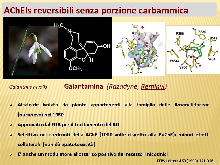 ACh. EIs reversibili senza porzione carbammica Galanthus nivalis Galantamina (Razadyne, Reminyl) Alcaloide isolato da