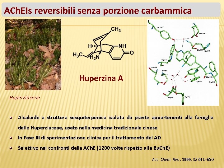 ACh. EIs reversibili senza porzione carbammica Huperzina A Huperziaceae Alcaloide a struttura sesquiterpenica isolato